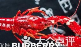 厦门龙虾爆料视频播放下载,揭秘网红龙虾美食背后的下载热潮